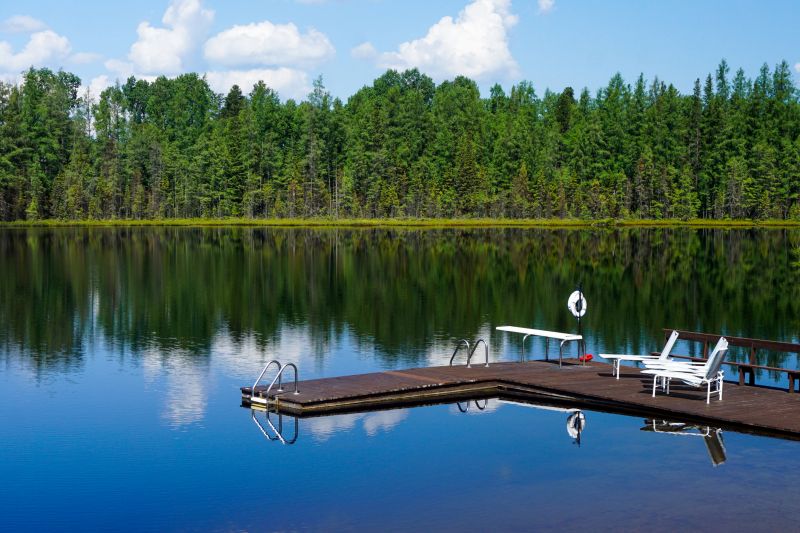 Lazy Susan Replacement